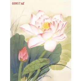 EM03957