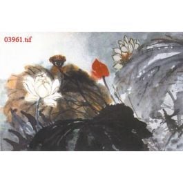 EM03961