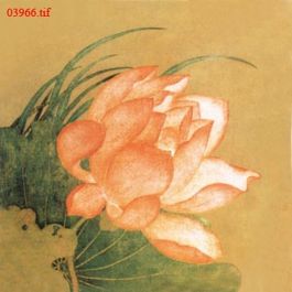 EM03966