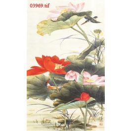 EM03969