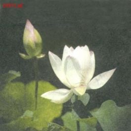 EM03971