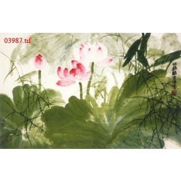 EM03987