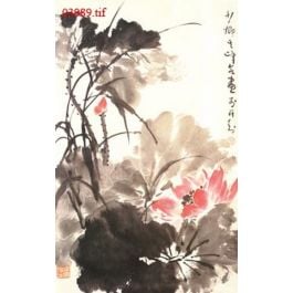 EM03989