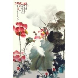 EM03991