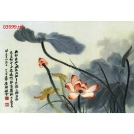 EM03999