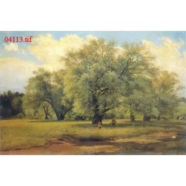 EM04113