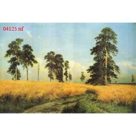 EM04125