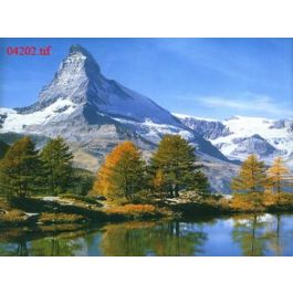 EM04202