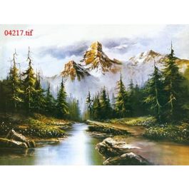 EM04217
