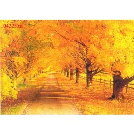 EM04225