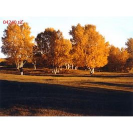 EM04240