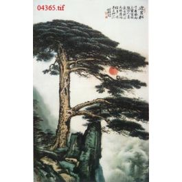 EM04365
