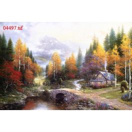 EM04497