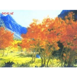 EM04541