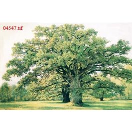 EM04547