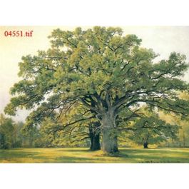 EM04551