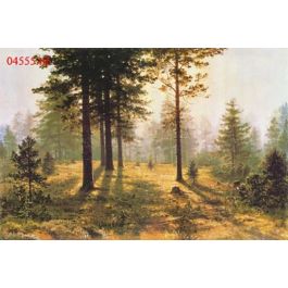 EM04555