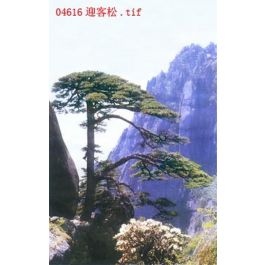 EM04616