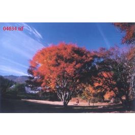 EM04634