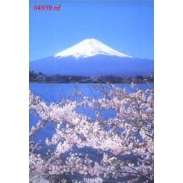 EM04939