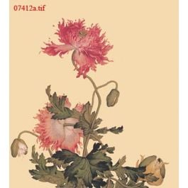 EM07412a