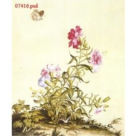 EM07416