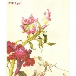 EM07417