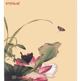 EM07433a