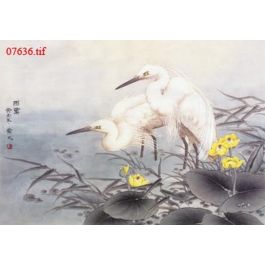 EM07636