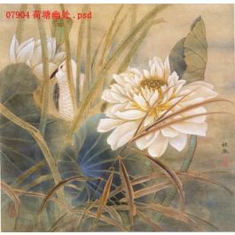 EM07904