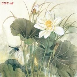EM07923