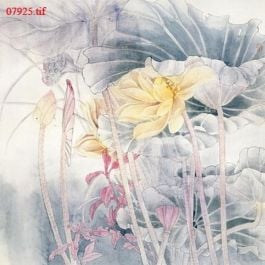 EM07925