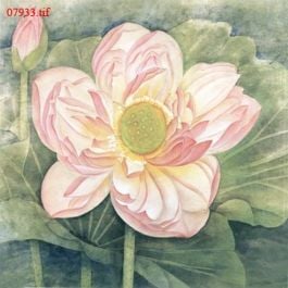 EM07933