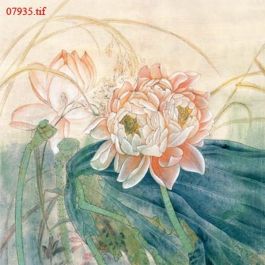 EM07935