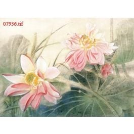 EM07936