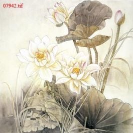 EM07942