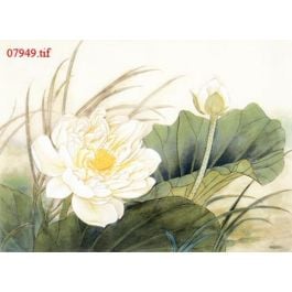 EM07949