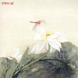 EM07951