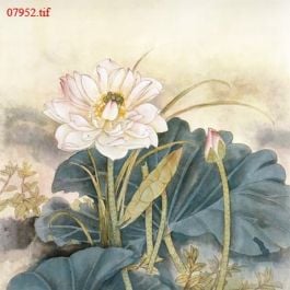 EM07952