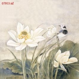 EM07953