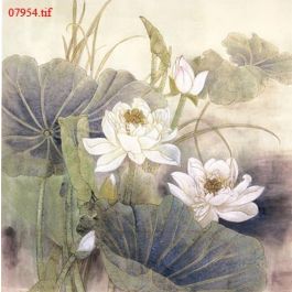 EM07954