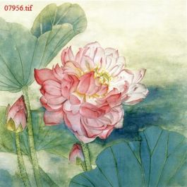EM07956