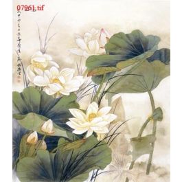 EM07961