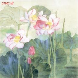 EM07962