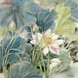 EM07964