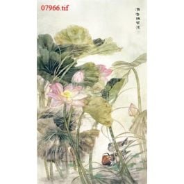 EM07966
