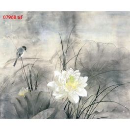 EM07968