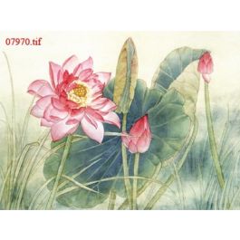EM07970