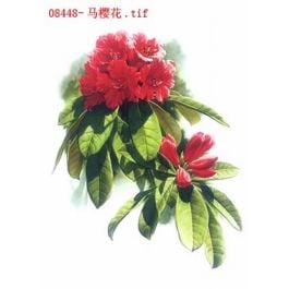 EM08448