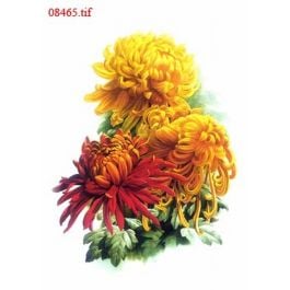 EM08465